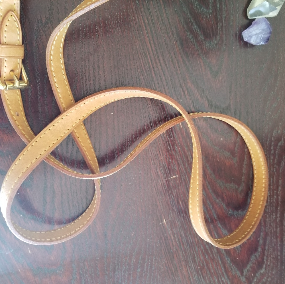 Louis Vuitton  discontinued  Noisette crossbody  bag/ Sale! - Picture 14 of 16